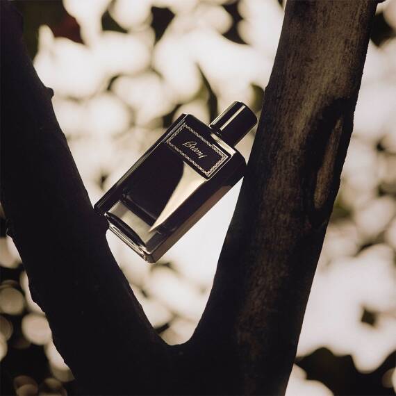 Brioni Intense Edp 100 Ml - 5