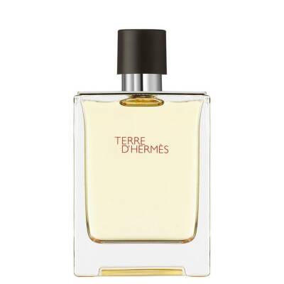 Hermes Terre D'Hermes Edt 100 Ml - 1