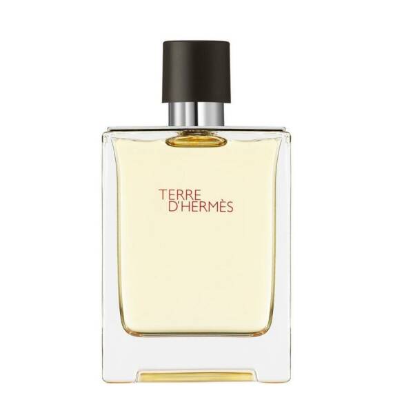 Hermes Terre D'Hermes Edt 100 Ml - 1