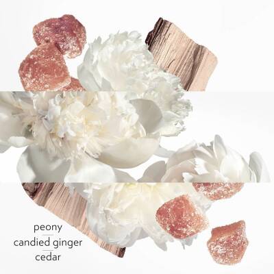Hermes Twilly D'Hermes Eau Ginger Edp 85 Ml - 4