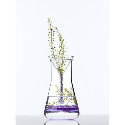 Marc Jacobs Daisy Edt 100 Ml - 399