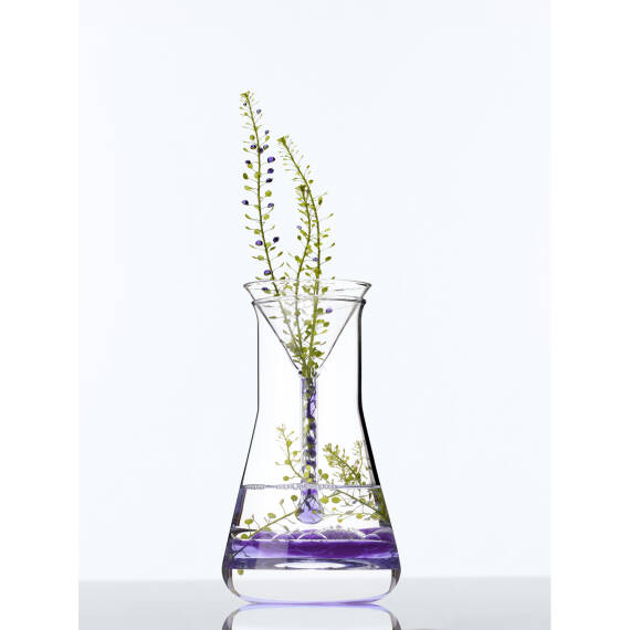 Marc Jacobs Daisy Edt 100 Ml - 399