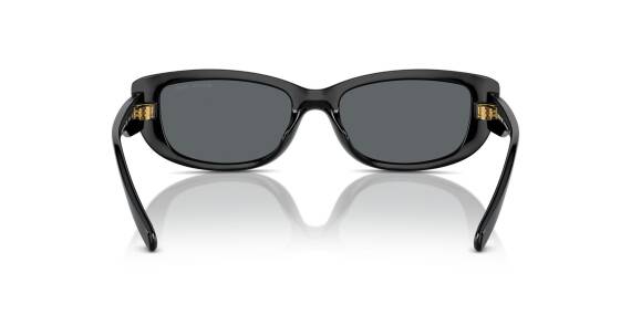 Michael Kors 0MK2210U 30058754 Kadın Gözlük - 3