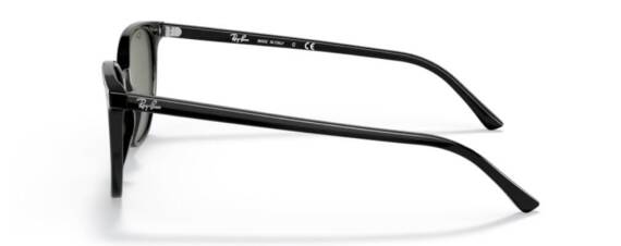 Ray-Ban 0RB2197901/3152 Unisex Gözlük - 2