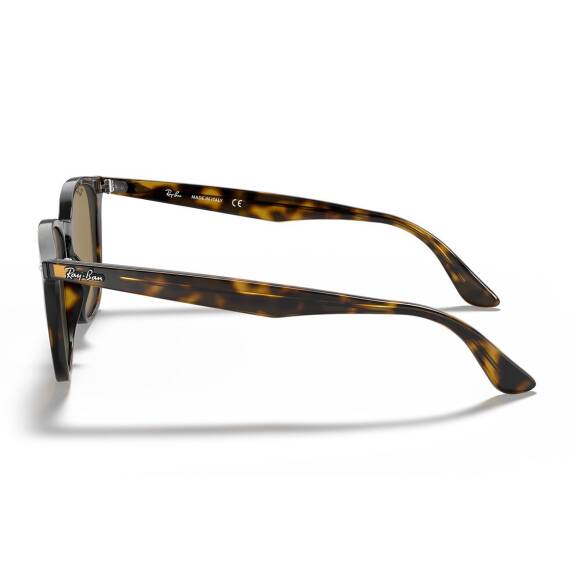 Ray-Ban 0RB4258 710/73 50 Unisex Gözlük - 3