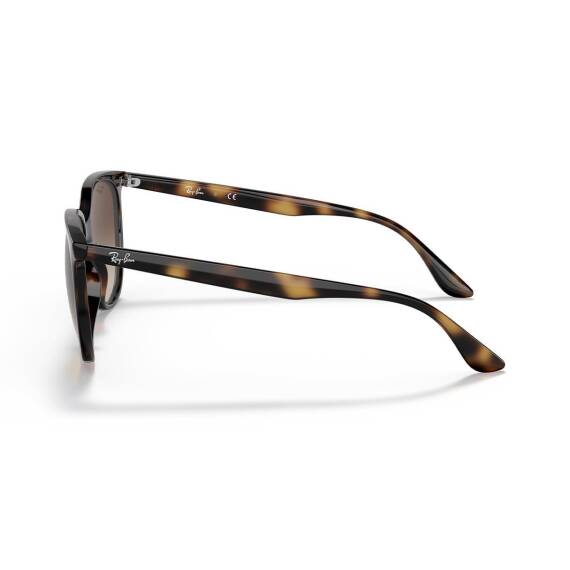 Ray-Ban 0RB4378710/1354 Kadın Gözlük - 3